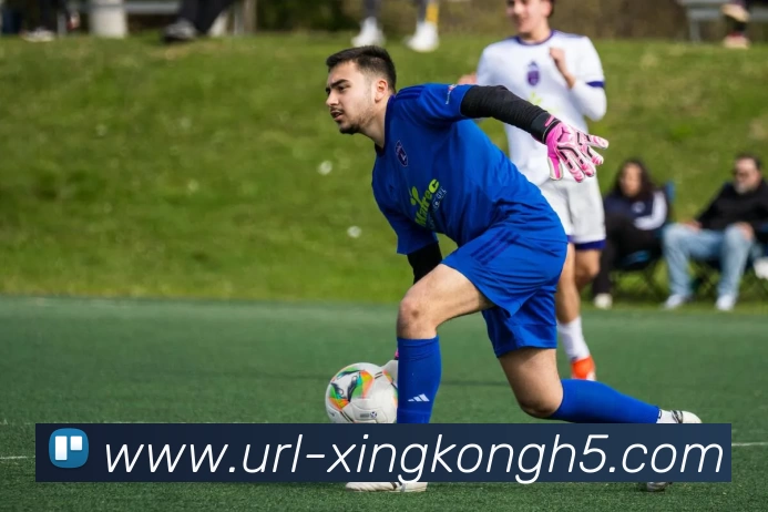 星空体育平台生态图