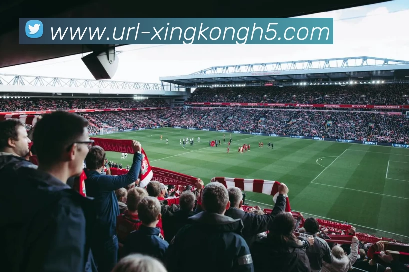 星空体育APP 封面图